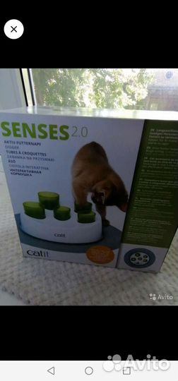 Товары для животных