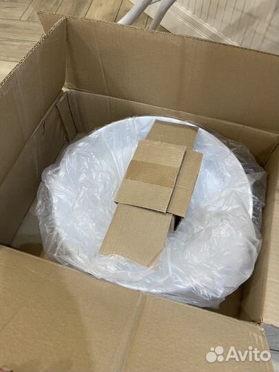 Раковина чаша