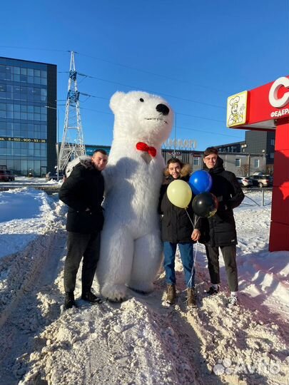 Белый Мишка поздравление. Ростовые куклы, аренда