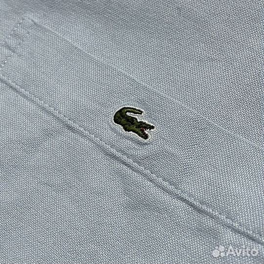 Рубашка Lacoste