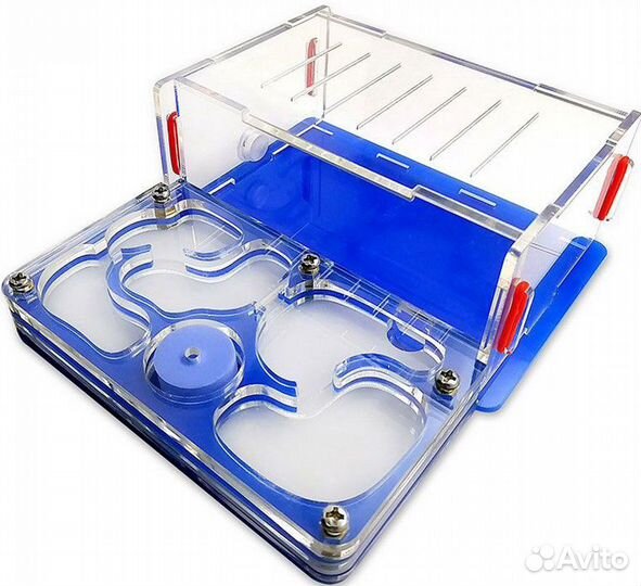 Муравьиные фермы + колонии Жнецов + Доставка