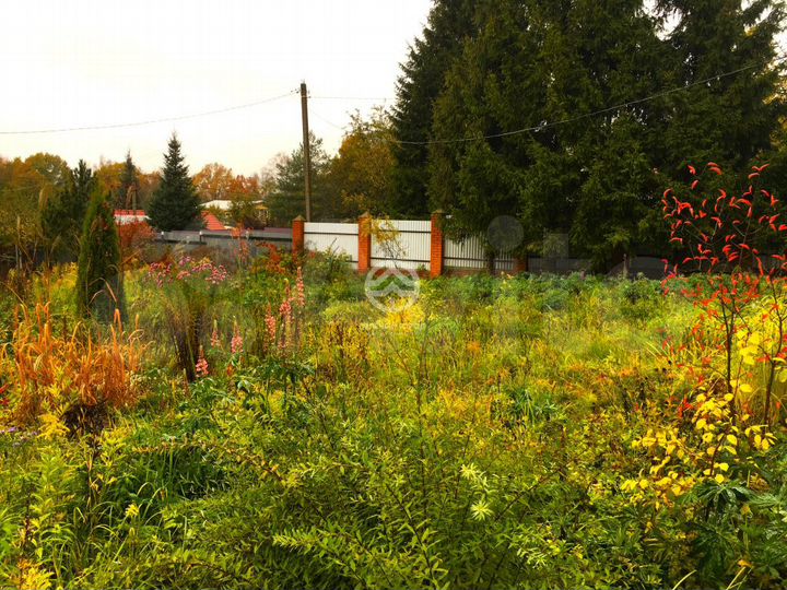 Дом 50 м² на участке 12 сот.