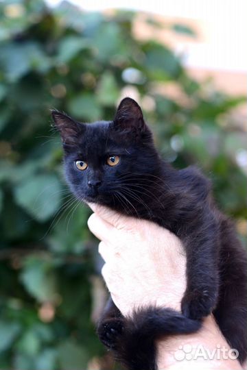 Чудо девочка в доьрые руки