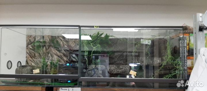 Террариум для эублефара