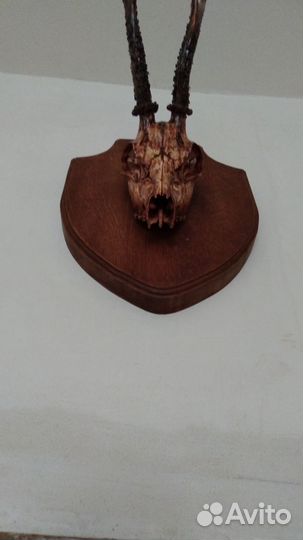 Рога косули,ручная работа