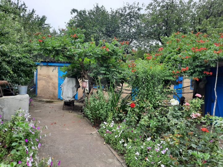 Дом 55 м² на участке 23 сот.