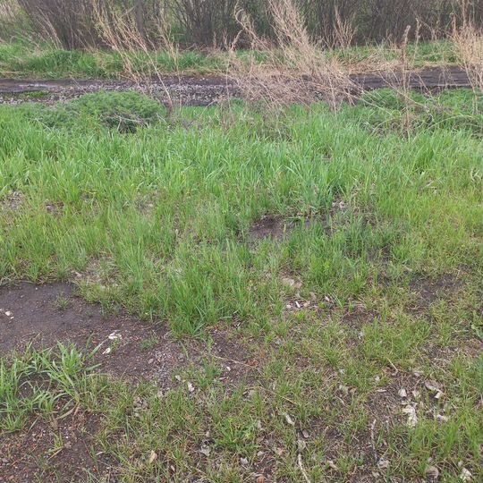 Участок 10 сот. (СНТ, ДНП)