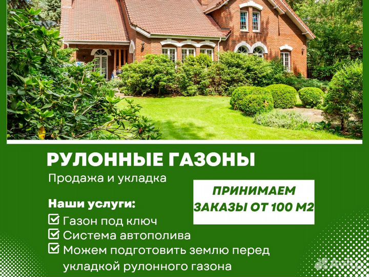 Продажа газона стандарт