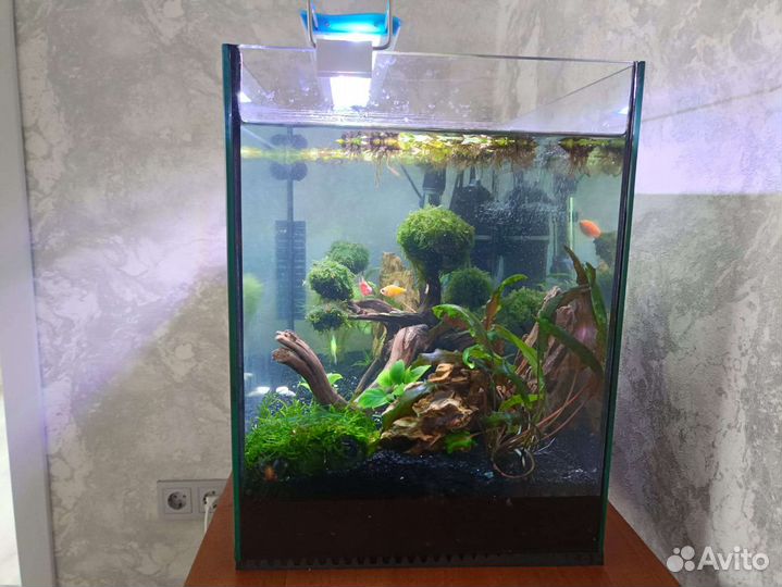 Аквариум