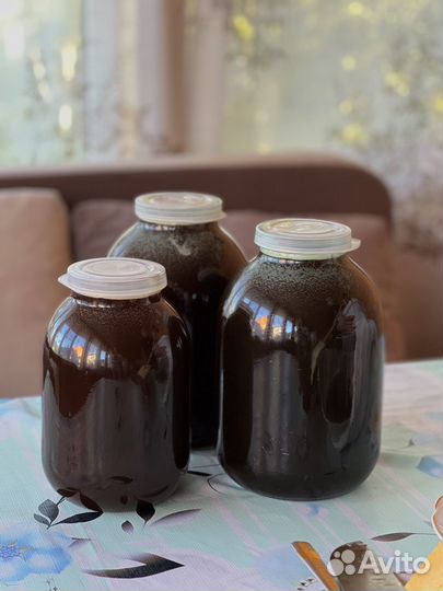 Гречишный натуральный мед 2023(собственная пасека)