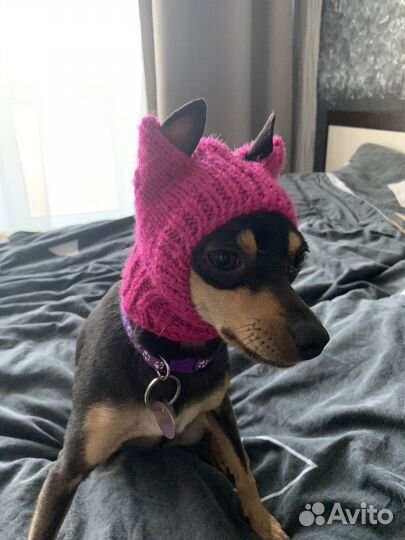 Шапка для собак маленьких пород
