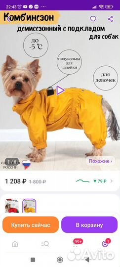 Дождевик для средней собаки