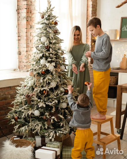 Семейный и детский фотограф