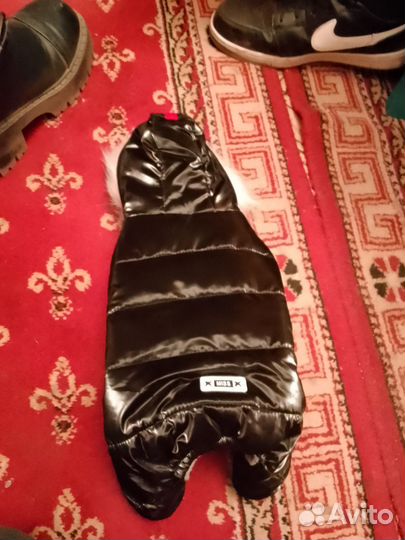 Одежда для маленьких собак зимняя