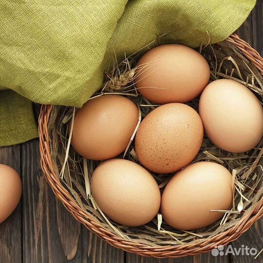 Домашние куриные яйца