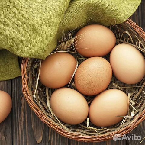 Домашние куриные яйца