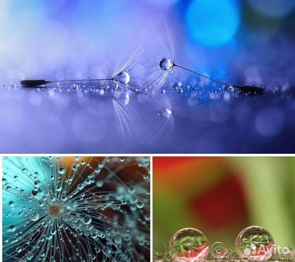 Набор Макролинз CloseUP +1/2/4/10 (52-77mm)