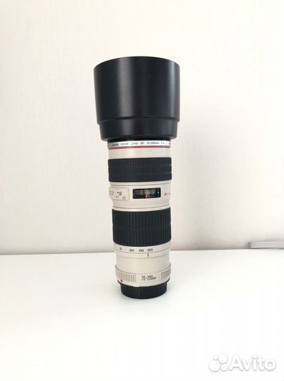 Canon L 70-200 mm f/4 USM
