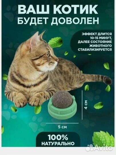 Шарик кошачий мяты