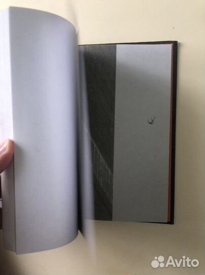 Книга с загадочным сюжетом