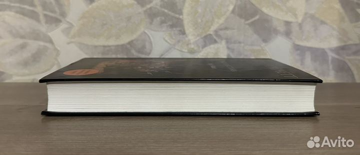 Терри Пратчетт. Ночная стража