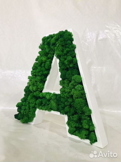 Буквы из стабилизированного мха