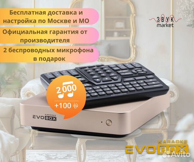 Караоке для дома Evolution Evobox Gold