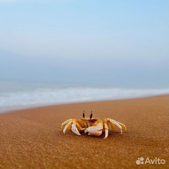 Туры в Египет из Перми