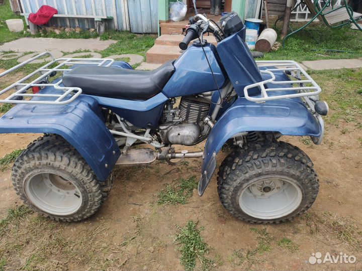 Квадроцикл зид тарпан 200