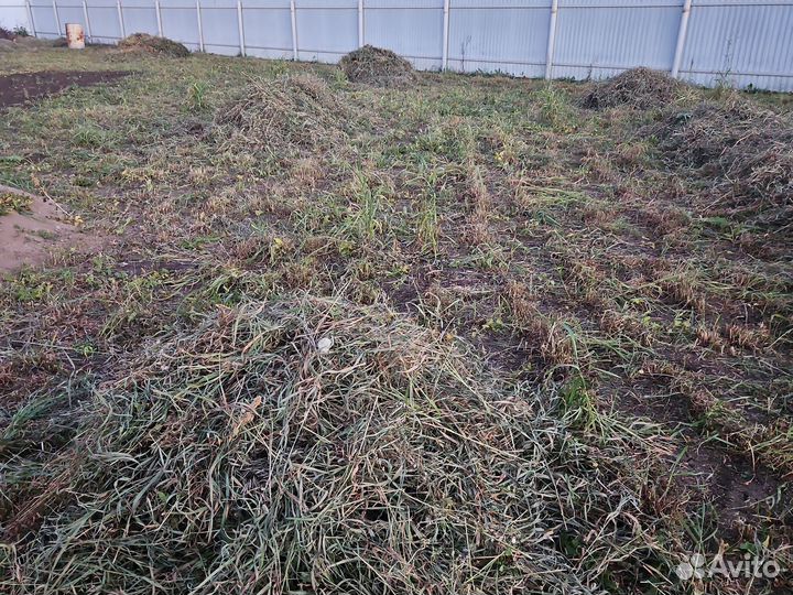 Сено костёр