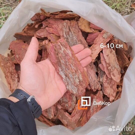 Кора сибирской лиственницы