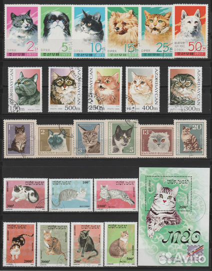 А029. Фауна. Кошки. Собаки. Животный мир