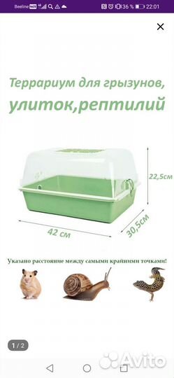 Улитки виноградные с приданным