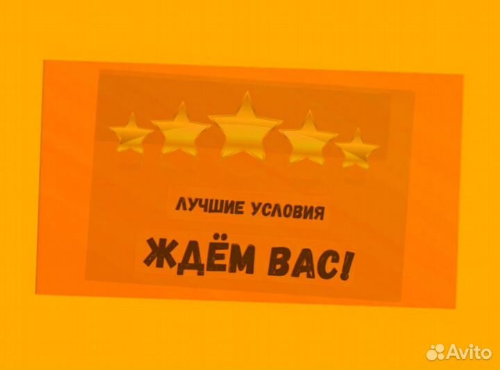 Оператор линии Вахта Еженедельные выплаты Жилье/Ед