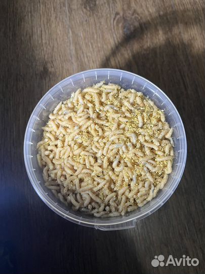 Опарыш белый
