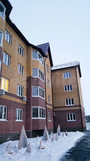 1-к. квартира, 48,2 м², 4/4 эт.