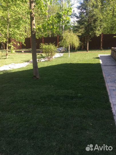 Укладка и продажа газона стандарт