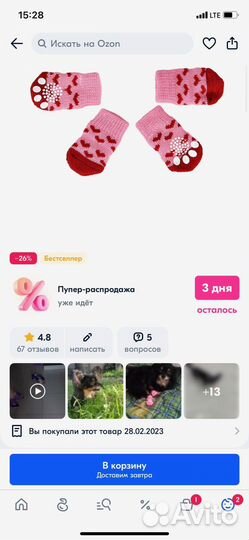 Носки для собак