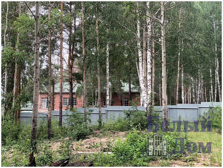 Участок 13,2 сот. (СНТ, ДНП)