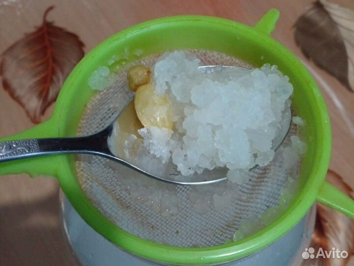 Индийский морской рис