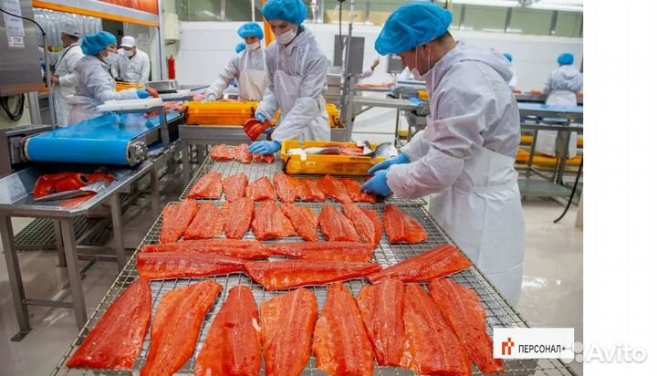 Обработчик рыбы