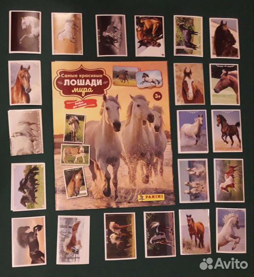Наклейки Panini Barbie, Самые красивые лошади мира