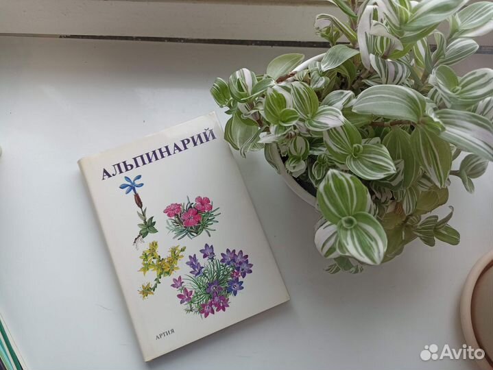 Книги о кактусах, цветах, альпинарий