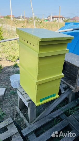 Улей для пчел