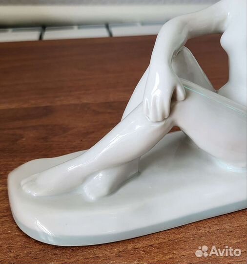 Купальщица дфз вирбилки