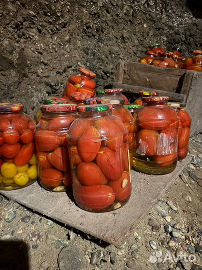 Огурцы, помидоры соленые