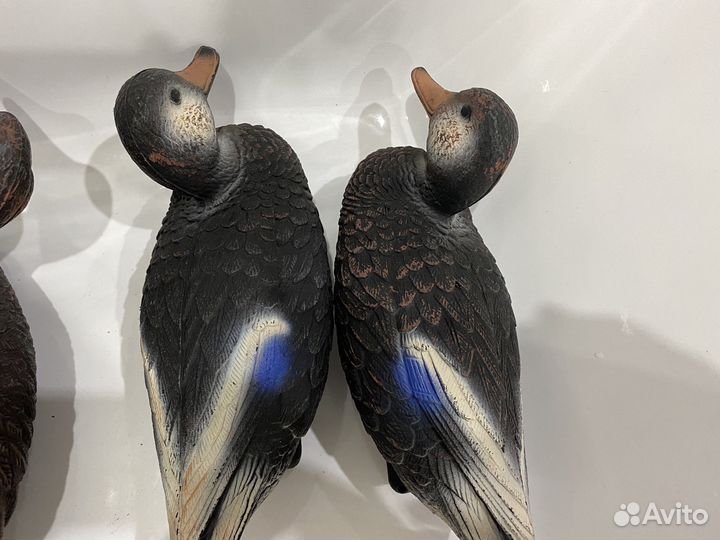 Утки подсадные для охоты