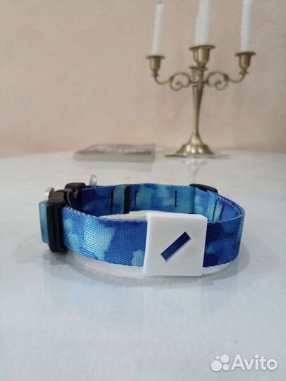 Ошейник для собак staya