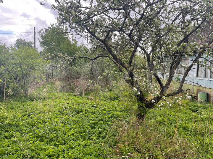 Дача 80 м² на участке 6 сот.