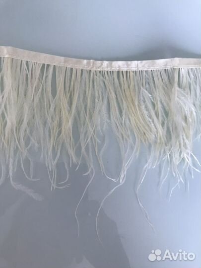 Новые перья страуса